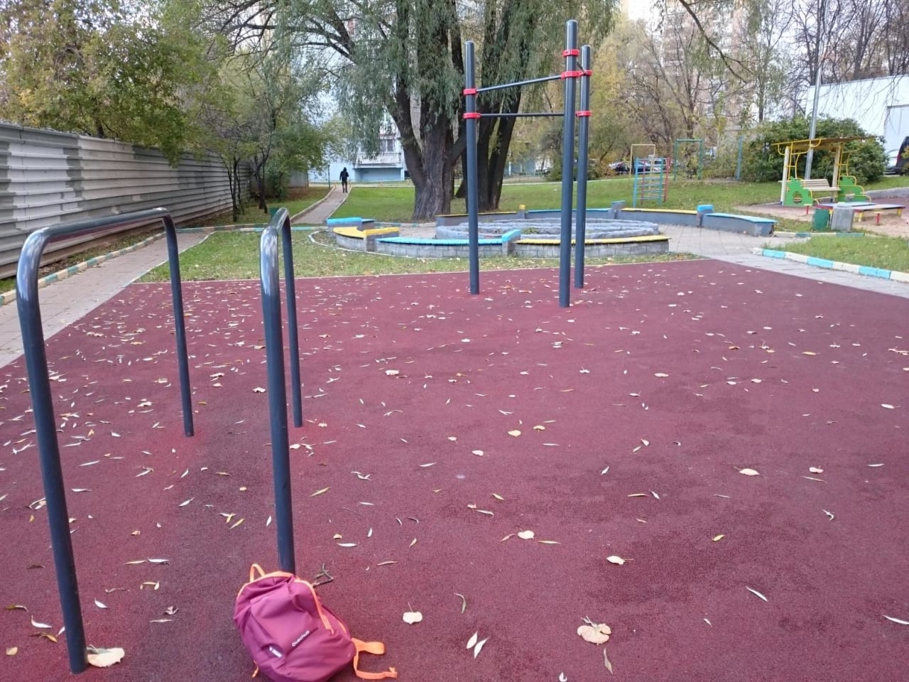 Monkey Bars at Calisthenics Park at проектируемый проезд № 3453, Москва – photo 3 of 4