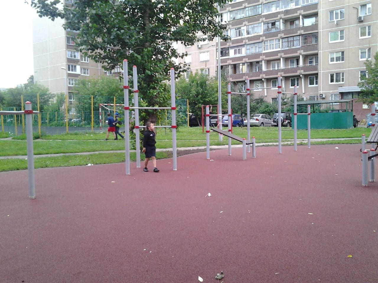 Рукоход на площадке Calisthenics Park at улица Проходчиков, Москва – фото 3 из 3