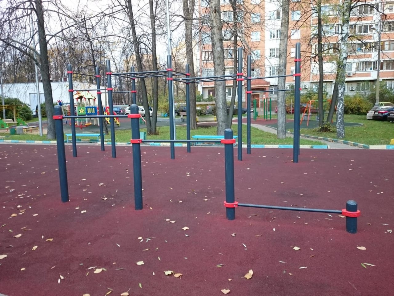 Parallel Gym Bars at Calisthenics Park at проектируемый проезд № 3453, Москва – photo 1 of 4