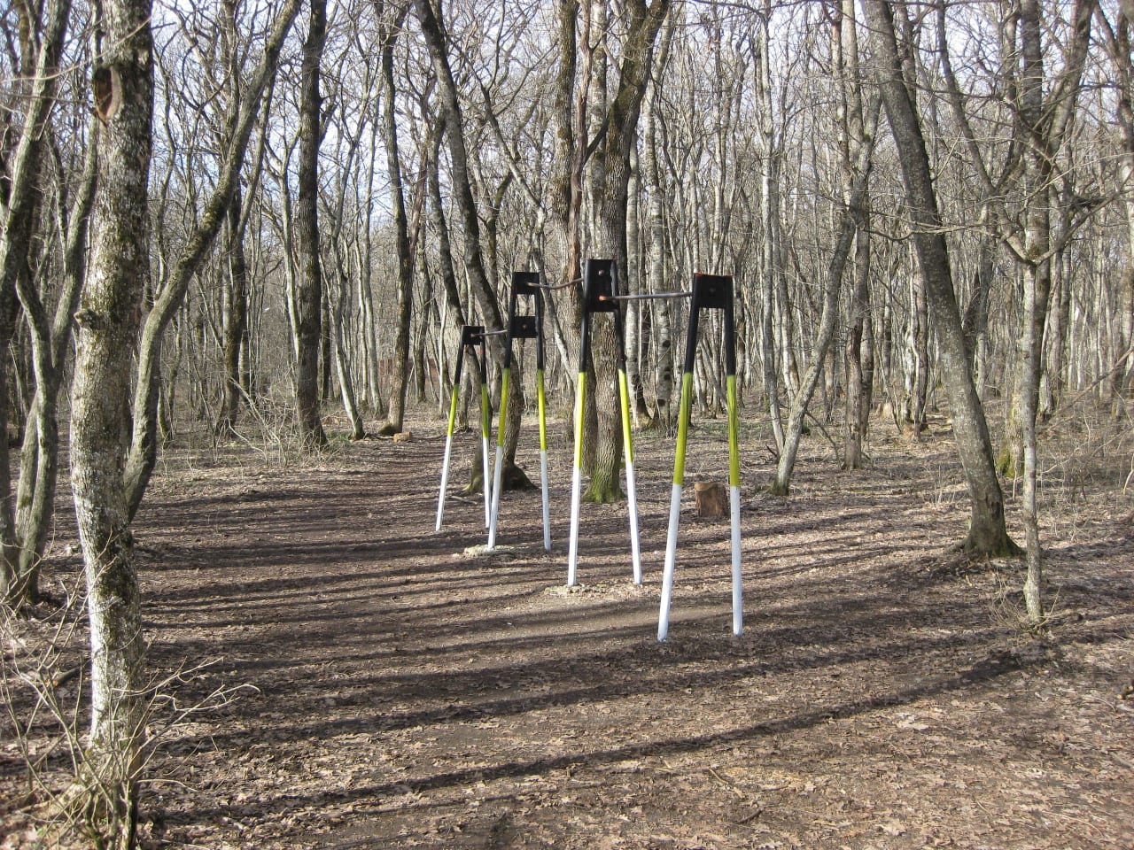 Barren bei Calisthenics Park at улица Фроленко, Ставрополь – Foto 2 von 2