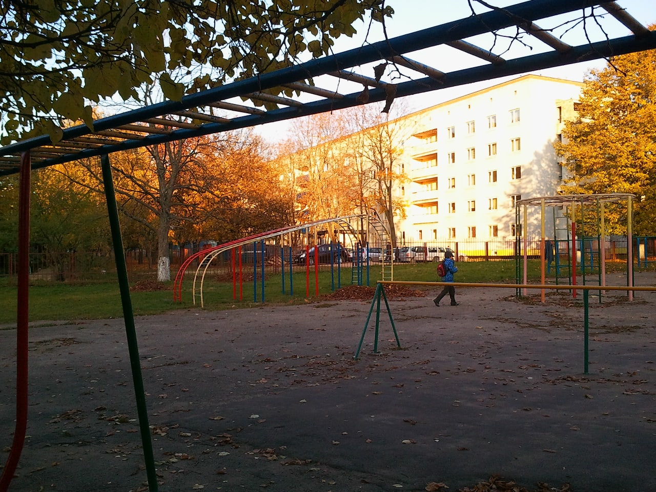 Брусья на площадке Calisthenics Park at Усходняя вуліца, Мінск #wp1579 – фото 3 из 6
