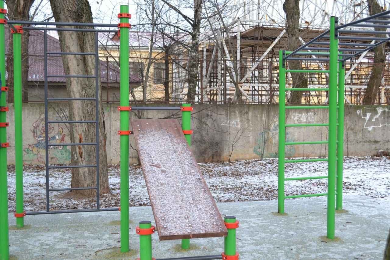 Wall Bars at Calisthenics Park at Заставская улица, Санкт-Петербург – photo 2 of 5