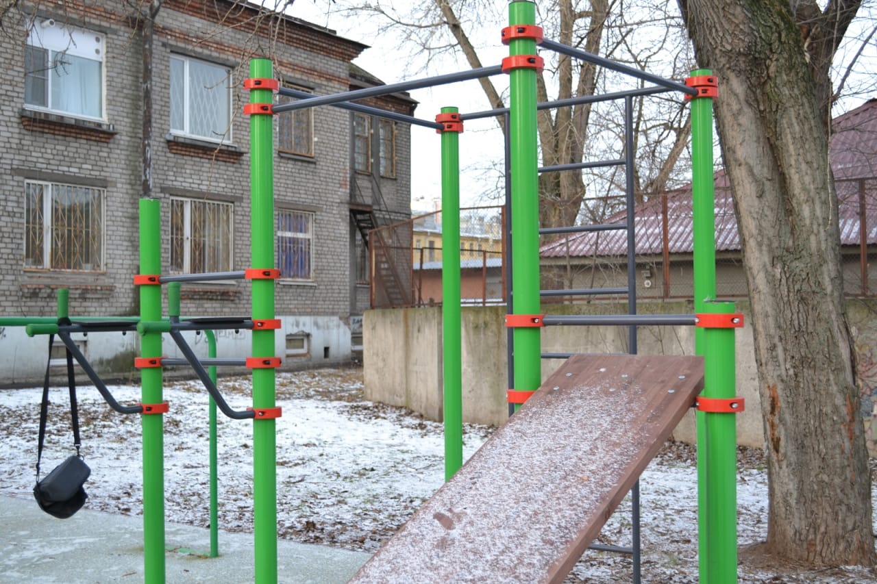 Monkey Bars at Calisthenics Park at Заставская улица, Санкт-Петербург – photo 4 of 5