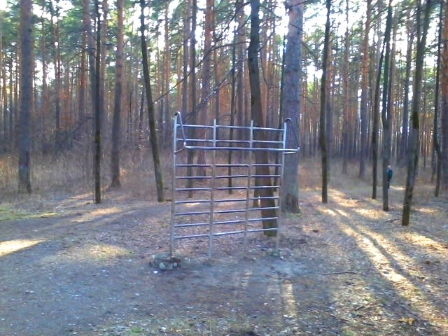 Pull Up Bar at Calisthenics Park at Базовый переулок, Екатеринбург – photo 3 of 4