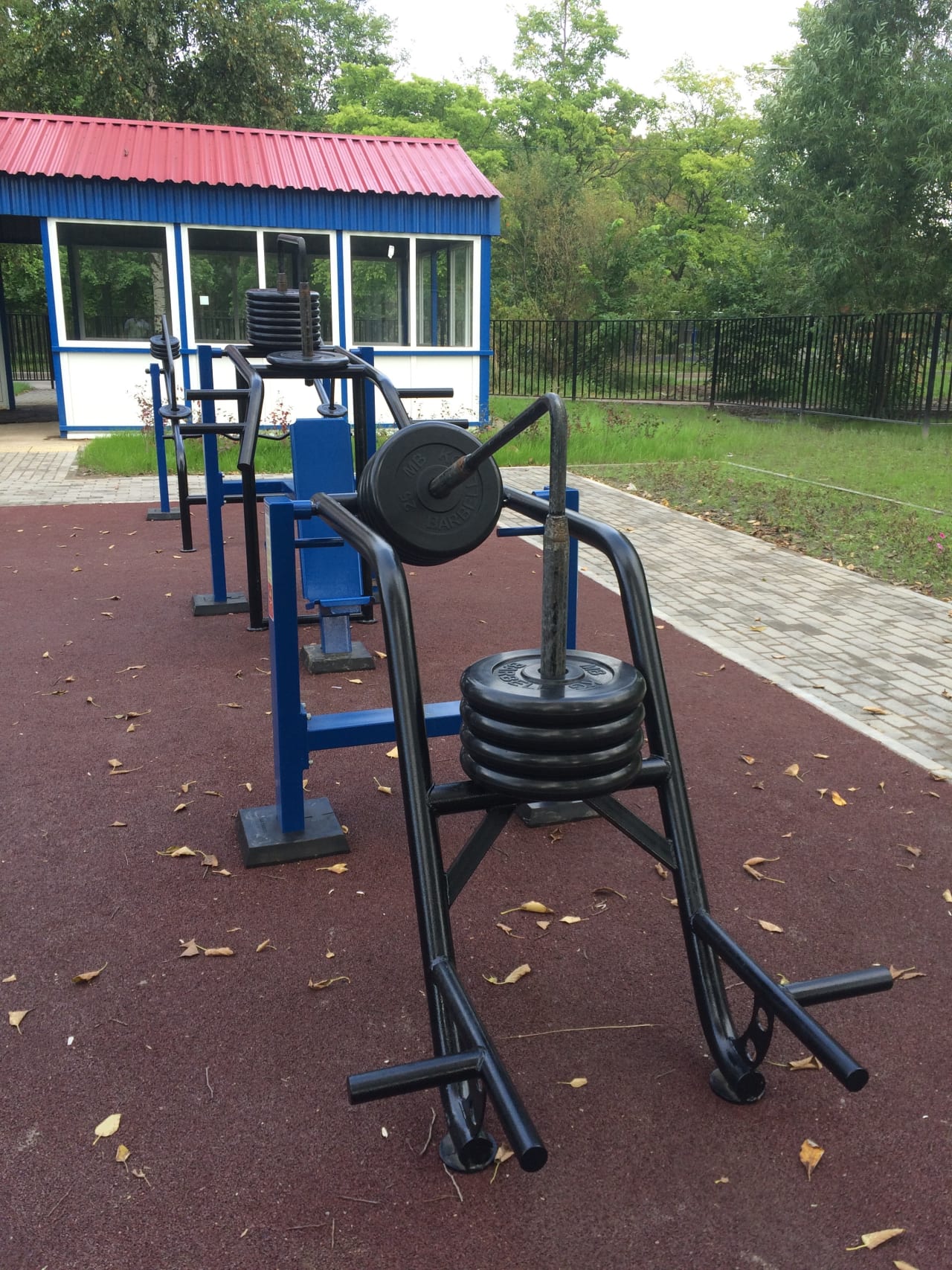 Angle Hyperextension at Calisthenics Park at улица Козлова, Санкт-Петербург – photo 7 of 7