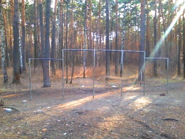 Monkey Bars at Calisthenics Park at Базовый переулок, Екатеринбург – photo 2 of 4