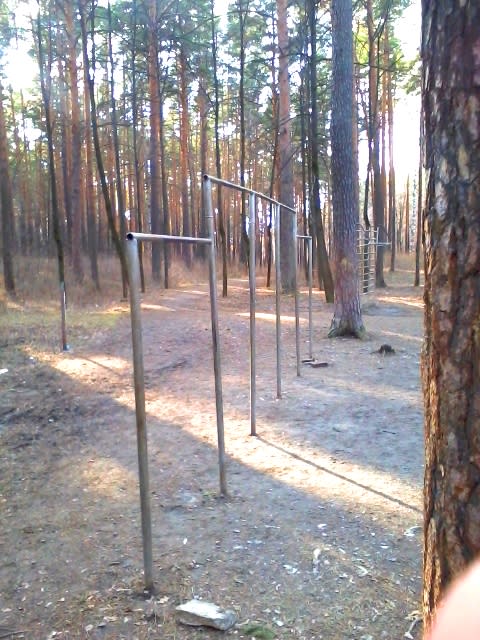 Parallel Gym Bars at Calisthenics Park at Базовый переулок, Екатеринбург – photo 1 of 4