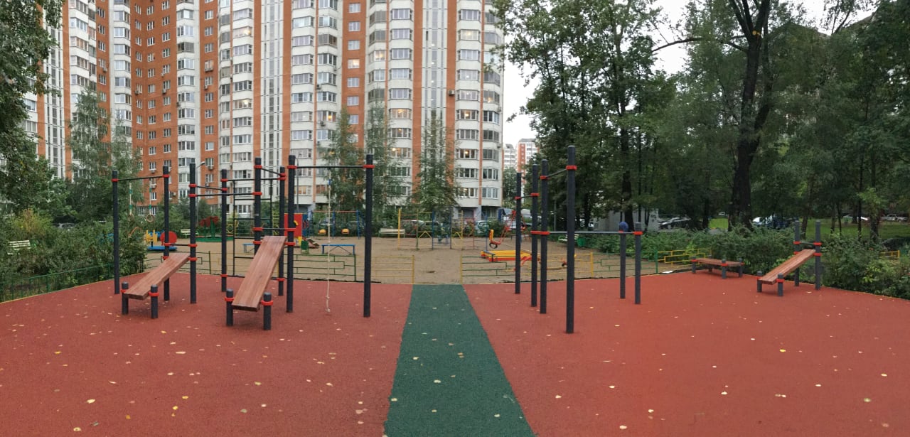 Spalier la Calisthenics Park at 15-я Парковая улица, Москва – fotografia 2 din 5