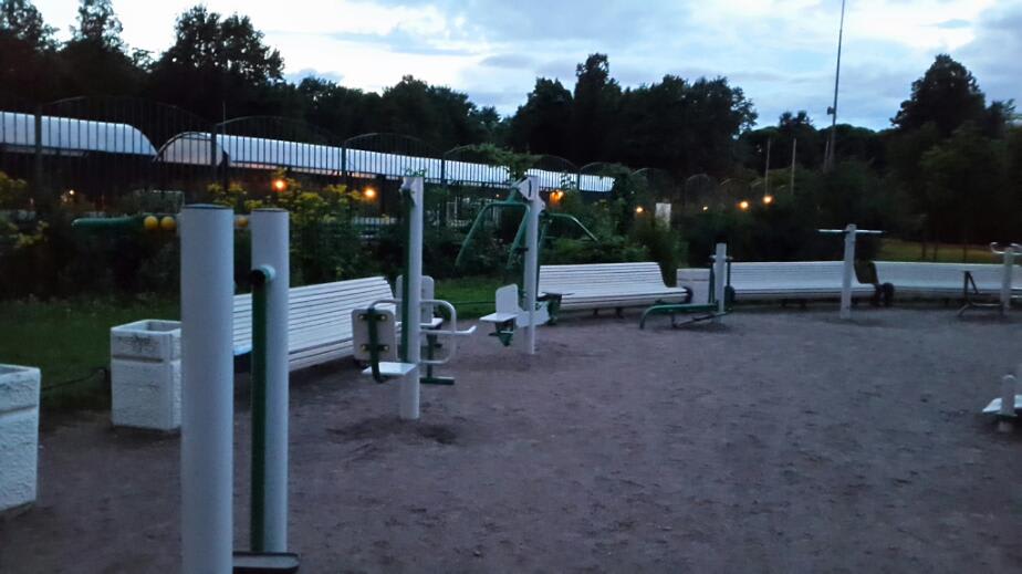 Шведська стінка на майданчику Calisthenics Park at Кирочная улица, Санкт-Петербург – фото 2 з 3