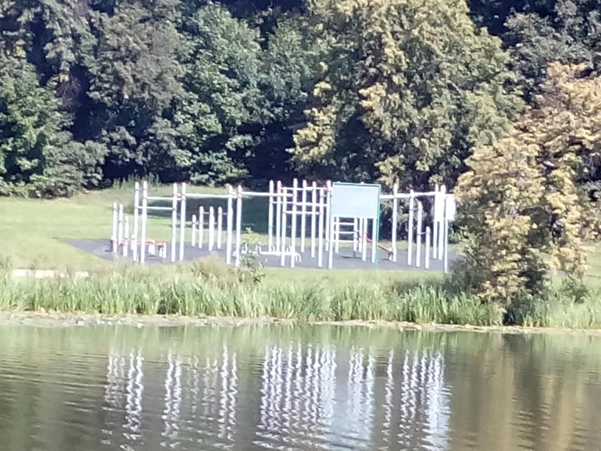 Parallel Gym Bars at Calisthenics Park at Тополёвая аллея, Москва – photo 1 of 1