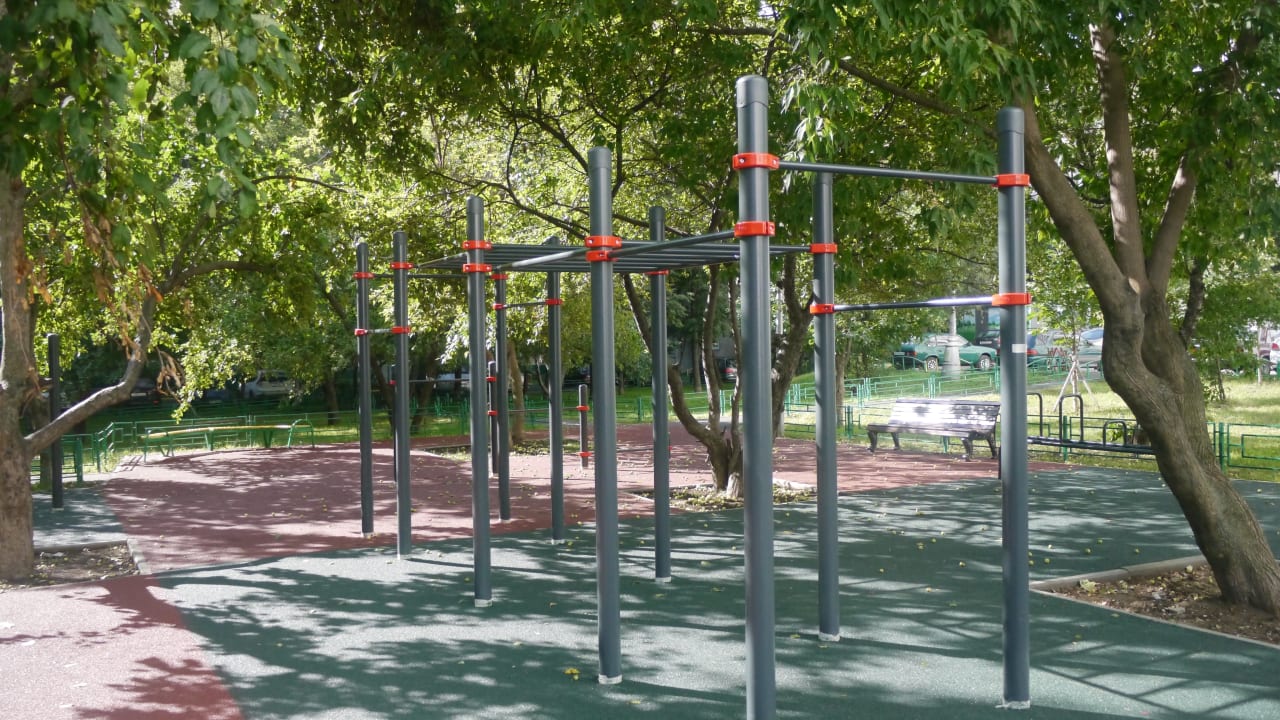 Monkey Bars at Calisthenics Park at Проектируемый проезд № 6137, Москва – photo 4 of 8