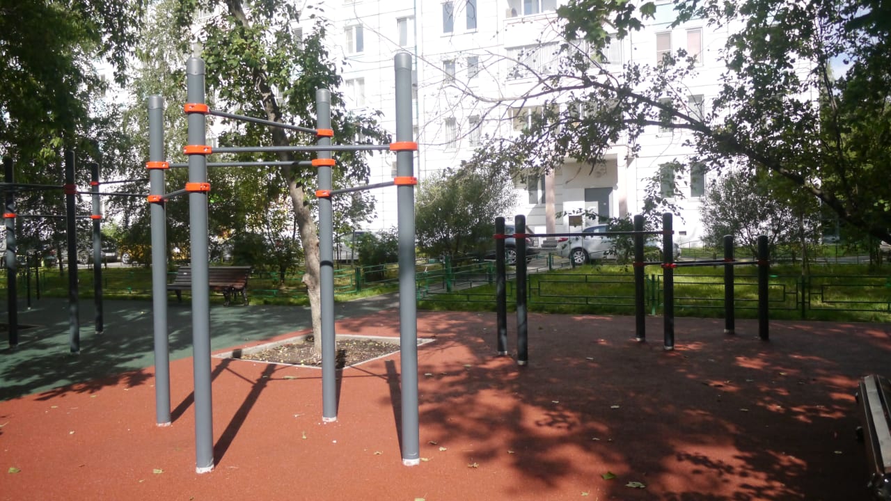 Wall Bars at Calisthenics Park at Проектируемый проезд № 6137, Москва – photo 2 of 8