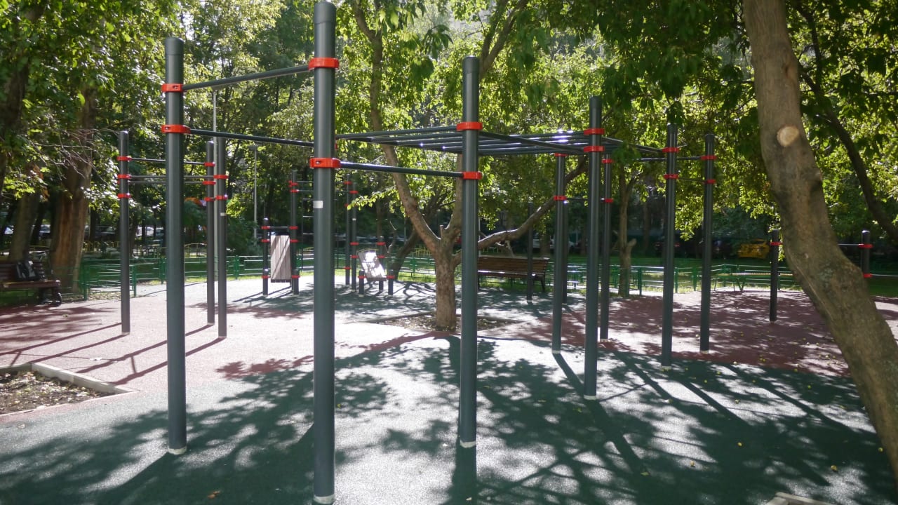 Wall Bars at Calisthenics Park at Проектируемый проезд № 6137, Москва – photo 8 of 8