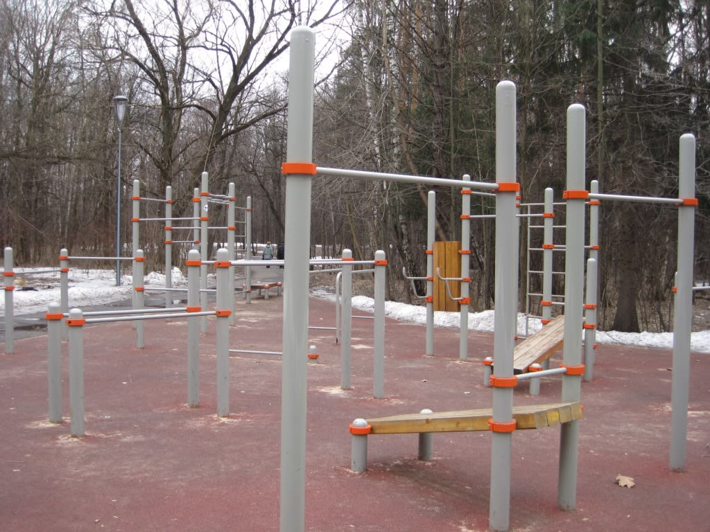 Турнік на майданчику Calisthenics Park at аллея Большого Круга, Москва – фото 1 з 1