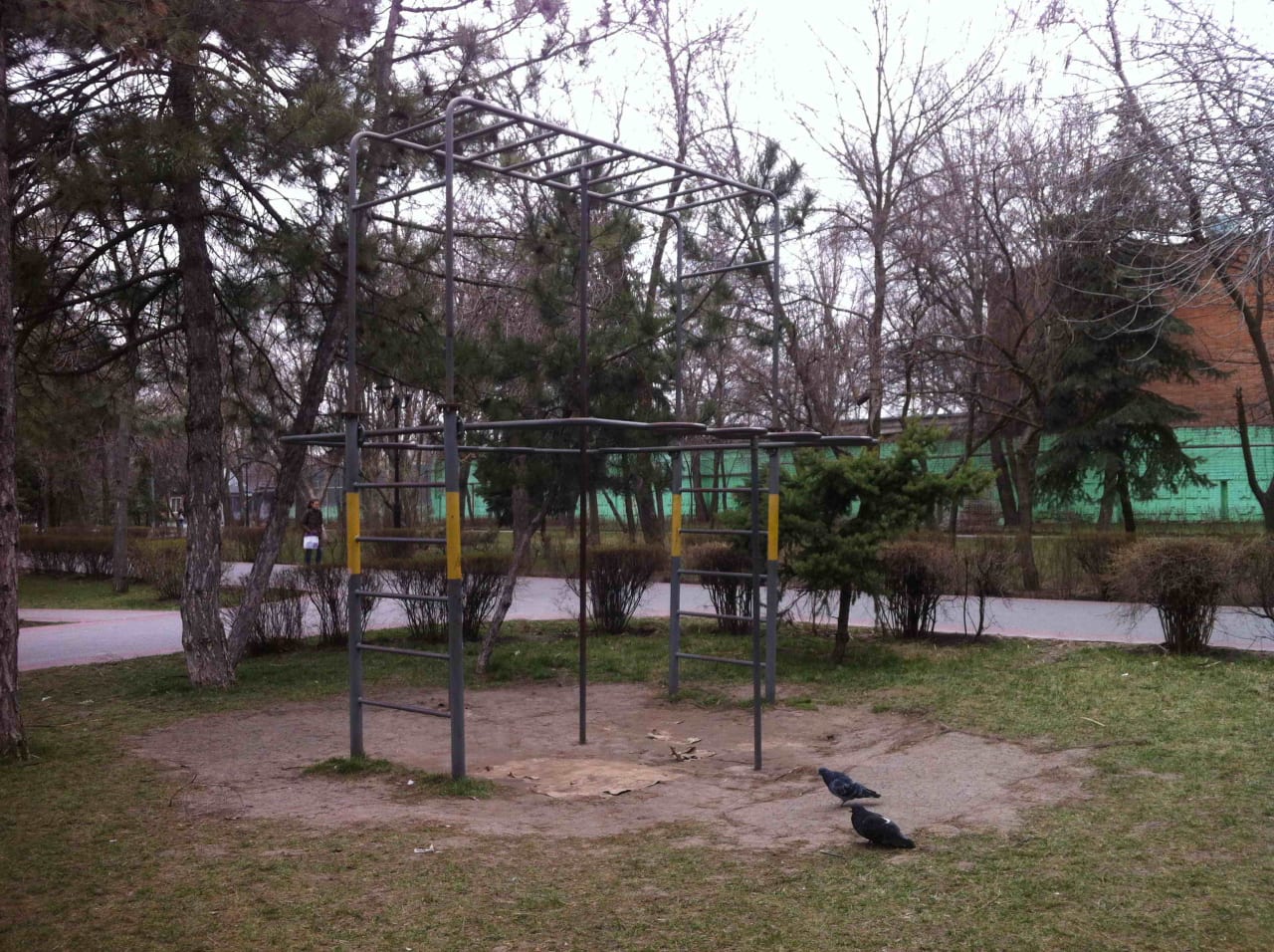 Monkey Bars at Calisthenics Park at площадь Толстого, Ростов-на-Дону – photo 2 of 5
