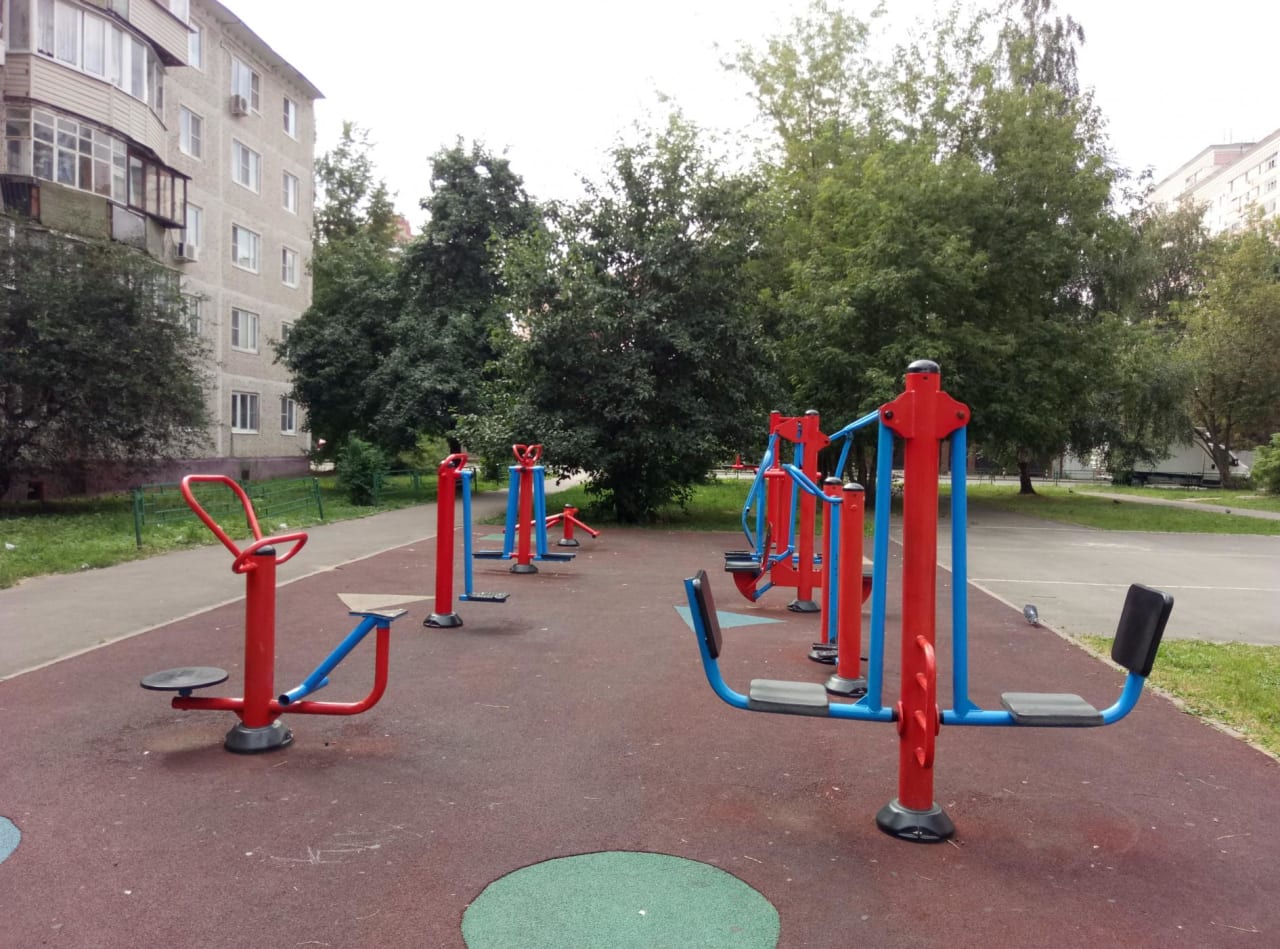Monkey Bars at Calisthenics Park at Вишнёвая улица, Химки – photo 3 of 3
