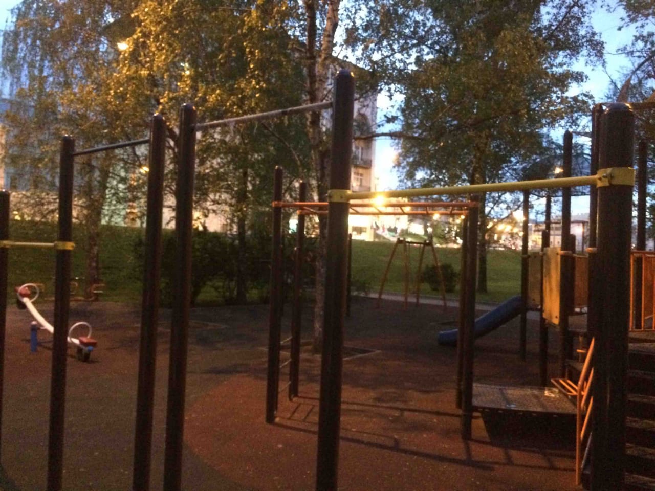 Pull Up Bar at Calisthenics Park at улица Волхонка, Москва – photo 1 of 1