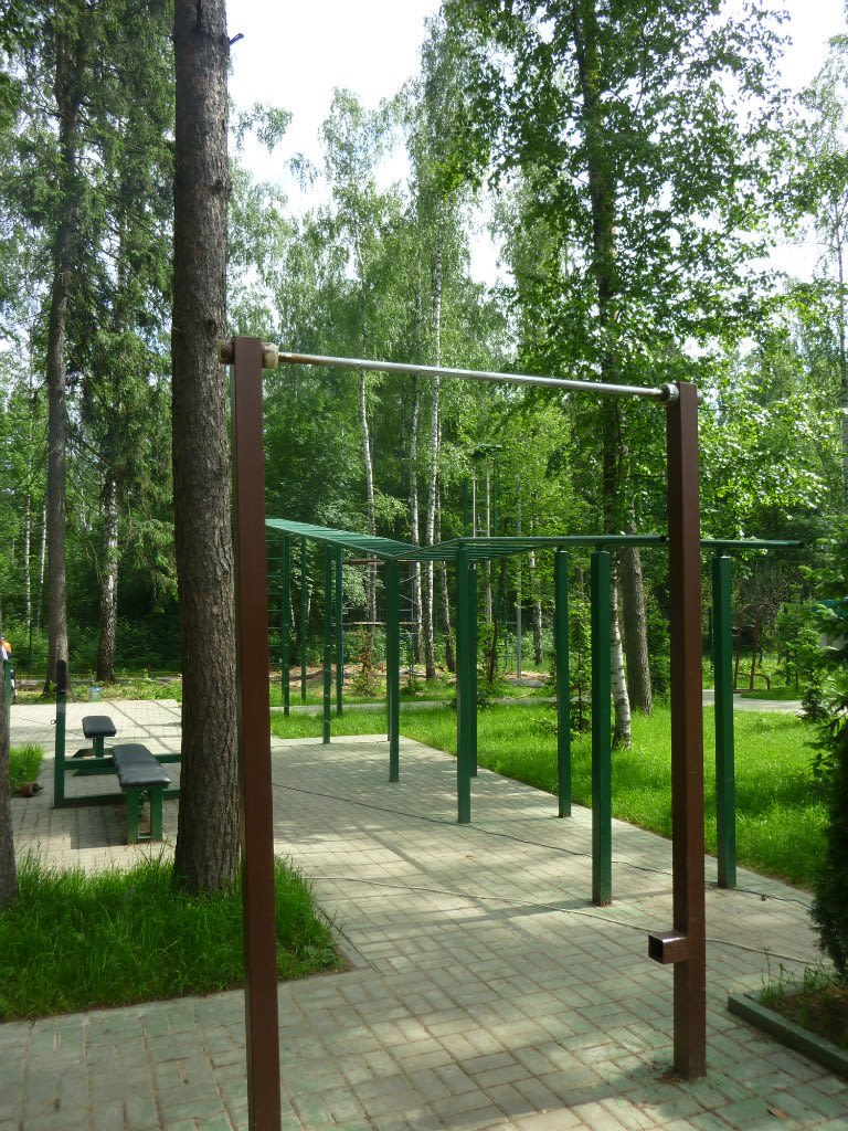 Hangelstange bei Calisthenics Park at улица Калинина, Балашиха – Foto 14 von 17