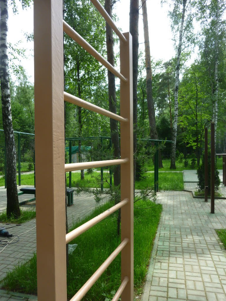 Hangelstange bei Calisthenics Park at улица Калинина, Балашиха – Foto 2 von 17