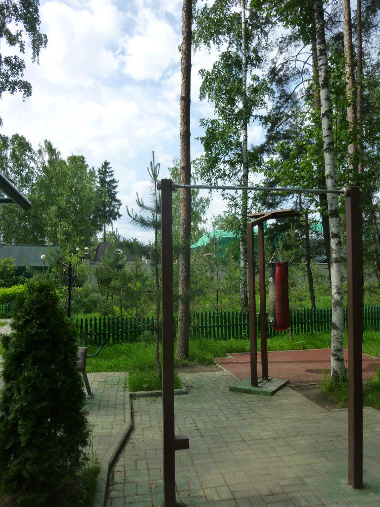 Klimmzugstange bei Calisthenics Park at улица Калинина, Балашиха – Foto 15 von 17
