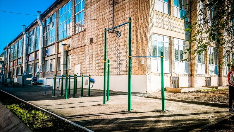 Monkey Bars at Calisthenics Park at Дом Спорта УГГУ, Екатеринбург – photo 2 of 8