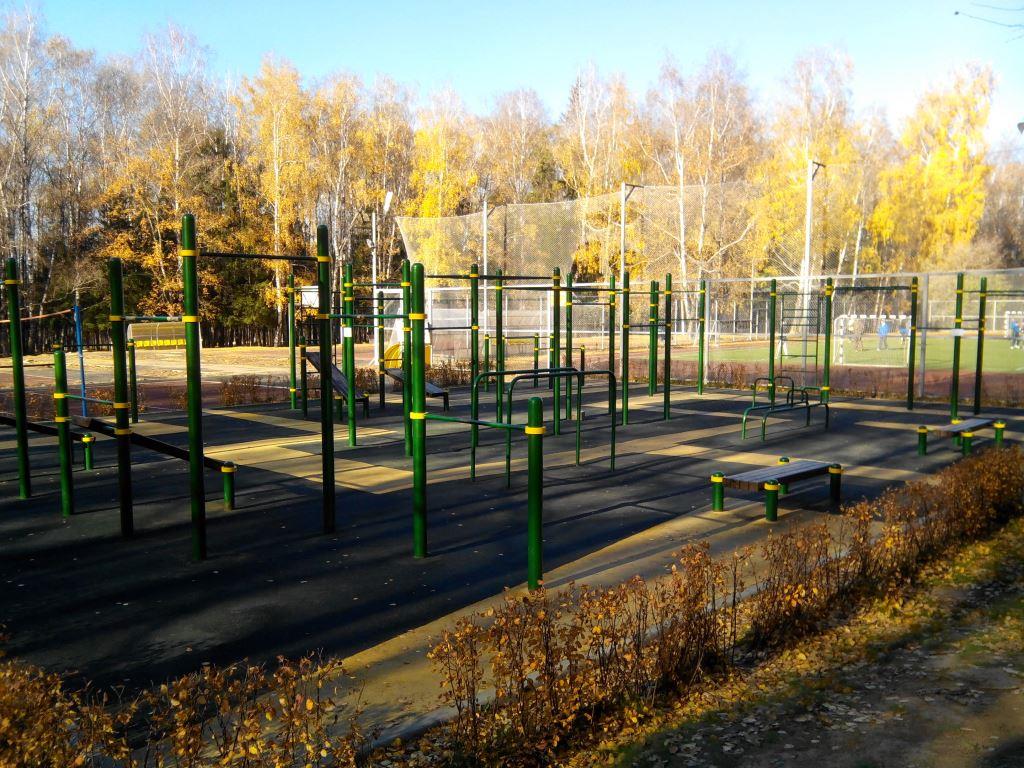 Sprossenwand bei Calisthenics Park at Волейбольная площадка, Тула – Foto 2 von 2