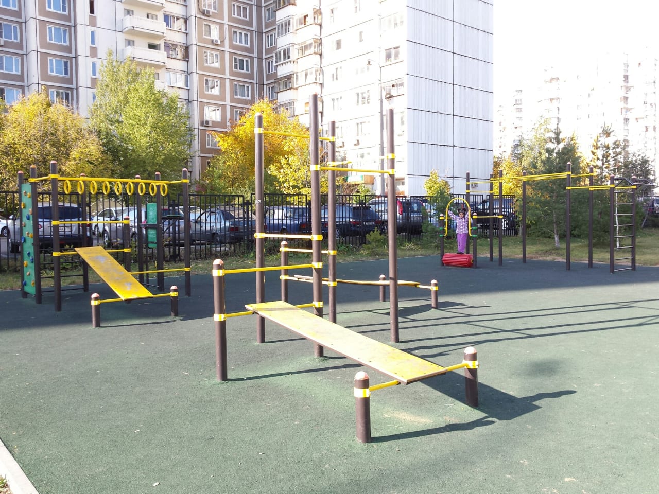 Monkey Bars at Calisthenics Park at улица Барышиха, Москва #wp1630 – photo 2 of 2