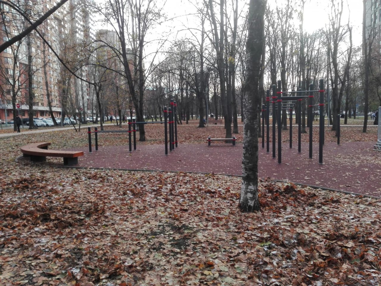 Бруси на майданчику Calisthenics Park at бульвар Генерала Карбышева, Москва – фото 2 з 9