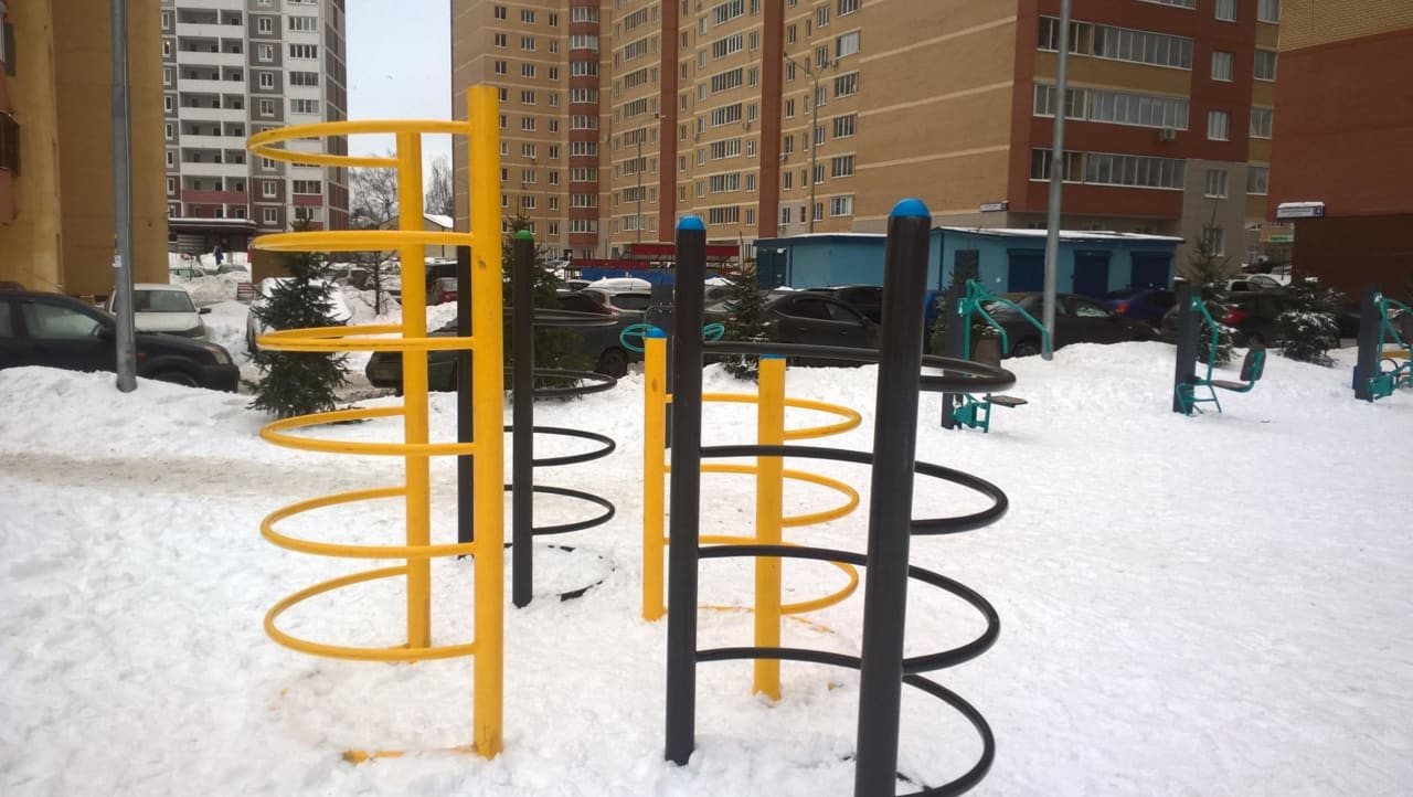 Wall Bars at Calisthenics Park at Центральная улица, Химки – photo 6 of 6