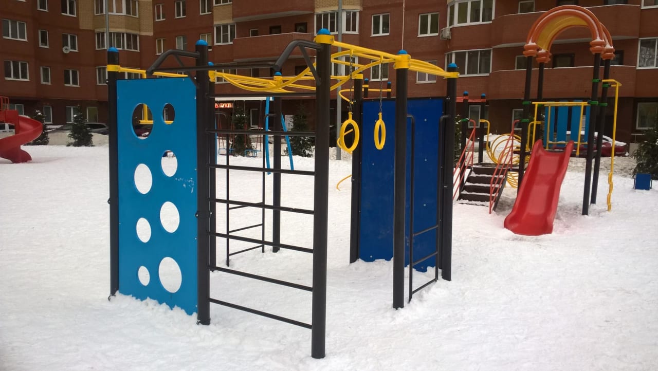 Monkey Bars at Calisthenics Park at Центральная улица, Химки – photo 5 of 6