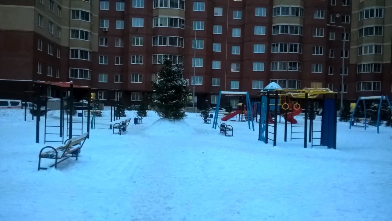 Pull Up Bar at Calisthenics Park at Центральная улица, Химки – photo 1 of 6