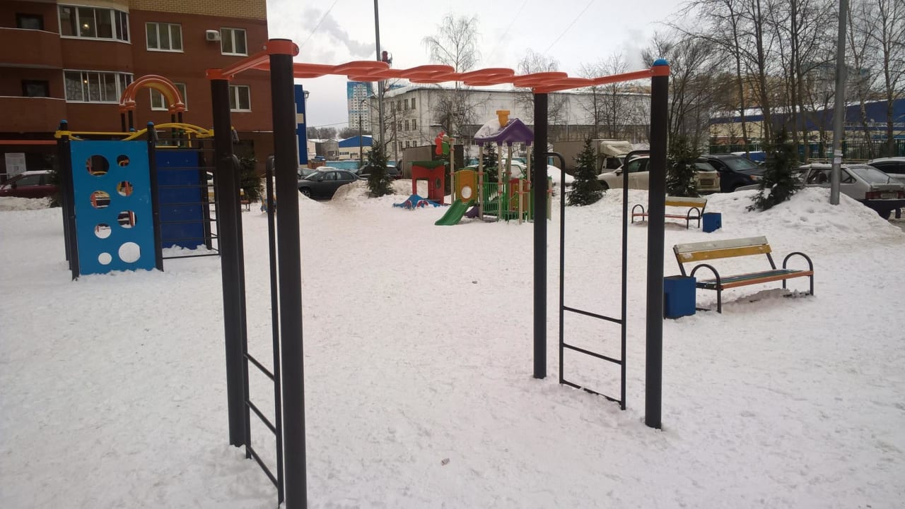 Monkey Bars at Calisthenics Park at Центральная улица, Химки – photo 2 of 6