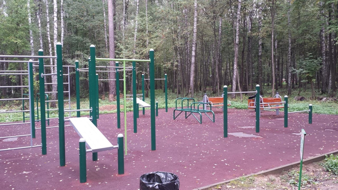 Liegestützgriffe bei Calisthenics Park at Аллея Славы, Ногинск – Foto 2 von 4
