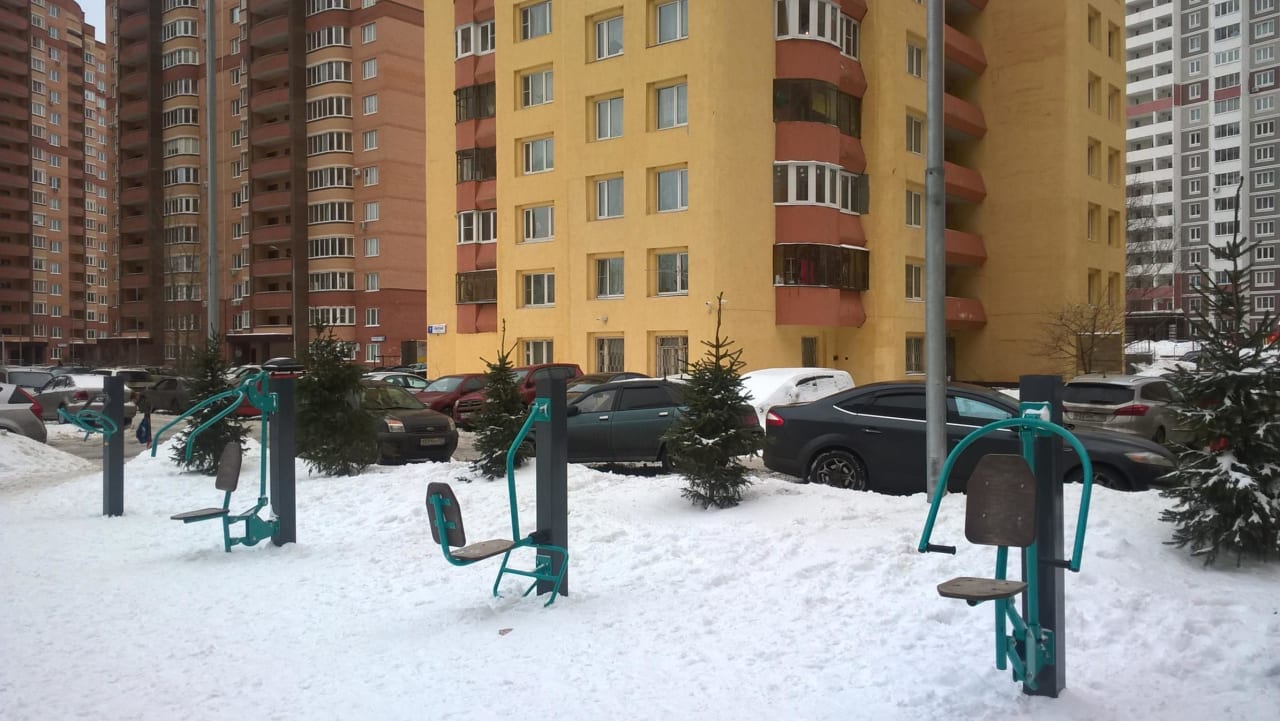 Wall Bars at Calisthenics Park at Центральная улица, Химки – photo 3 of 6