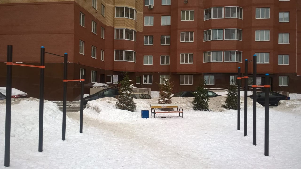 Pull Up Bar at Calisthenics Park at Центральная улица, Химки – photo 4 of 6