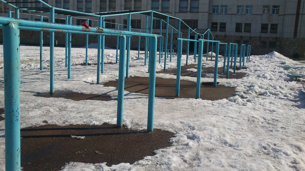 Monkey Bars la Calisthenics Park at Белокатайская улица, Уфа – fotografia 3 din 8