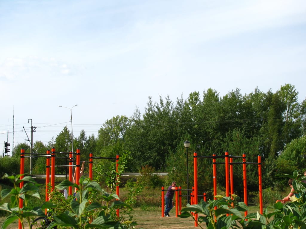 Sprossenwand bei Calisthenics Park at Станционная улица, Дубна – Foto 2 von 6