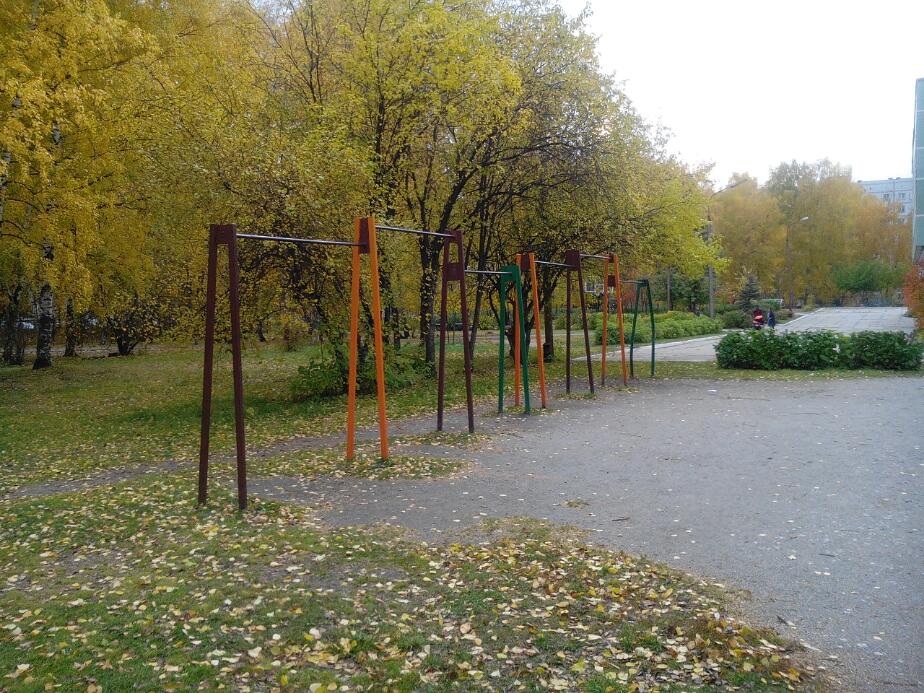 Sbarra per trazioni presso Calisthenics Park at Вяземская улица, городской округ Новосибирск – foto 3 di 4