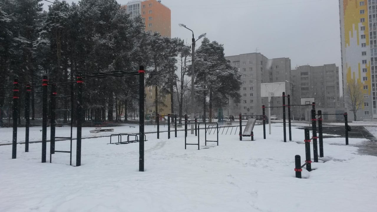 Sprossenwand bei Calisthenics Park at улица Склизкова, городской округ Тверь – Foto 2 von 3