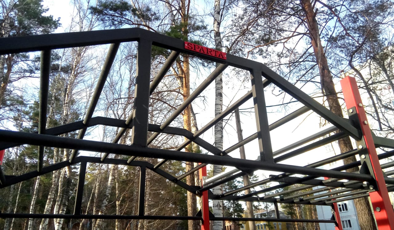Liegestützgriffe bei Calisthenics Park at Шатурская улица, городской округ Новосибирск – Foto 6 von 7