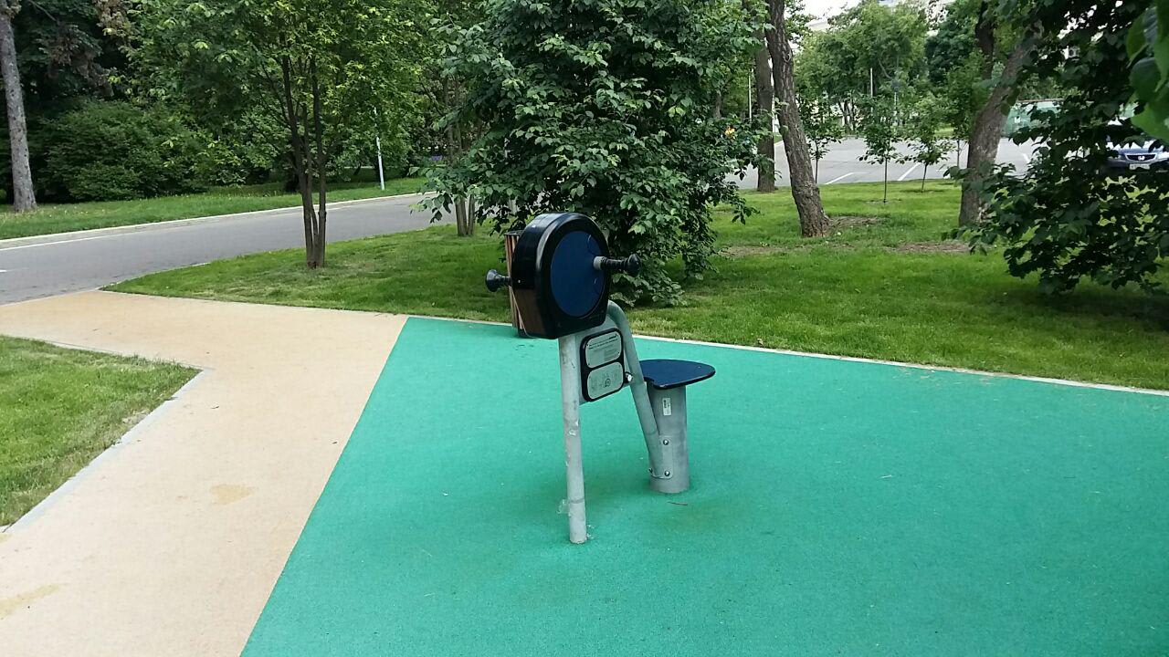 Elliptical Cross Trainer at Calisthenics Park at Олимпийский комплекс «Лужники», Москва – photo 15 of 20