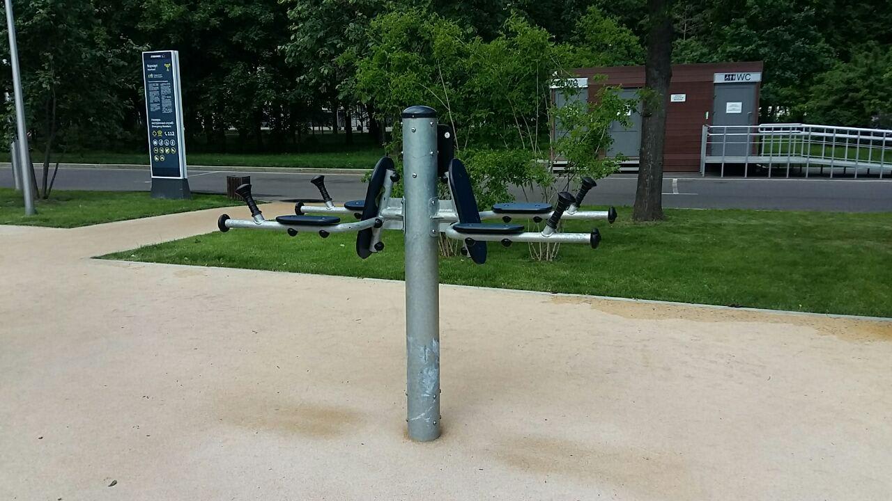 Air Walker at Calisthenics Park at Олимпийский комплекс «Лужники», Москва – photo 18 of 20