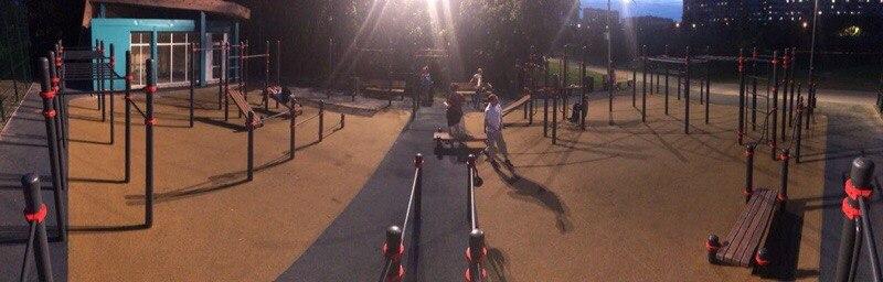 Wall Bars at Calisthenics Park at Батайский проезд, Москва – photo 2 of 10