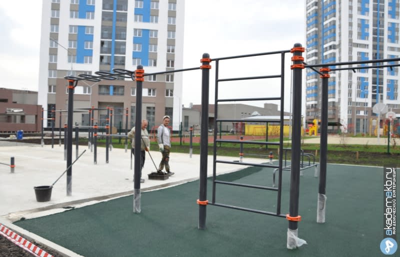 Monkey Bars at Calisthenics Park at улица Павла Шаманова, Екатеринбург – photo 2 of 3