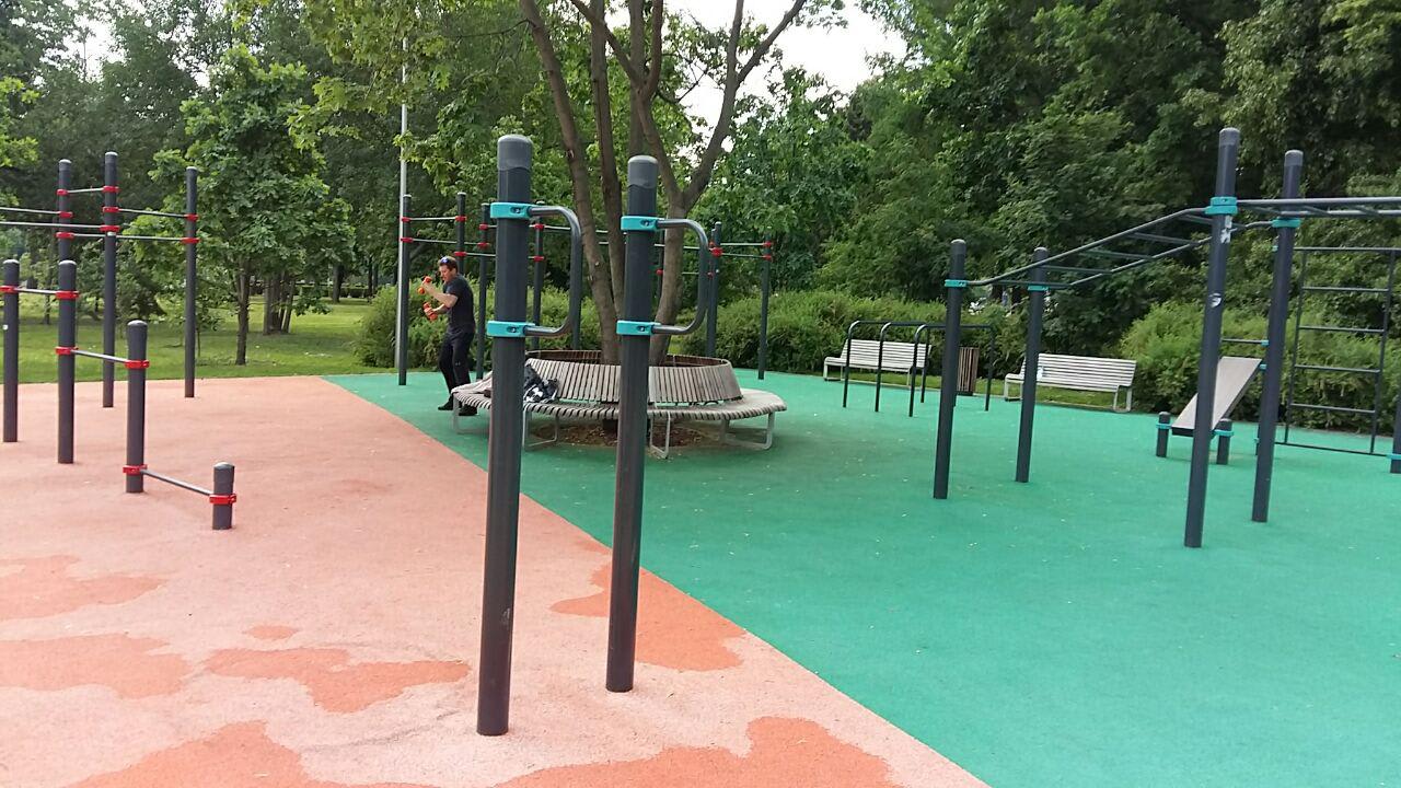 Monkey Bars at Calisthenics Park at Олимпийский комплекс «Лужники», Москва – photo 4 of 20
