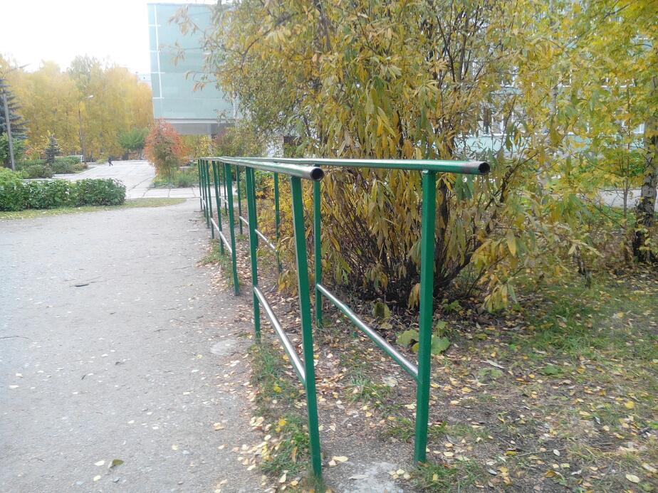 Monkey bar presso Calisthenics Park at Вяземская улица, городской округ Новосибирск – foto 2 di 4