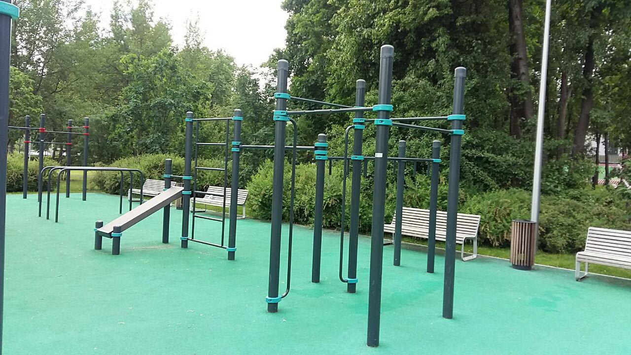 Parallel Gym Bars at Calisthenics Park at Олимпийский комплекс «Лужники», Москва – photo 1 of 20