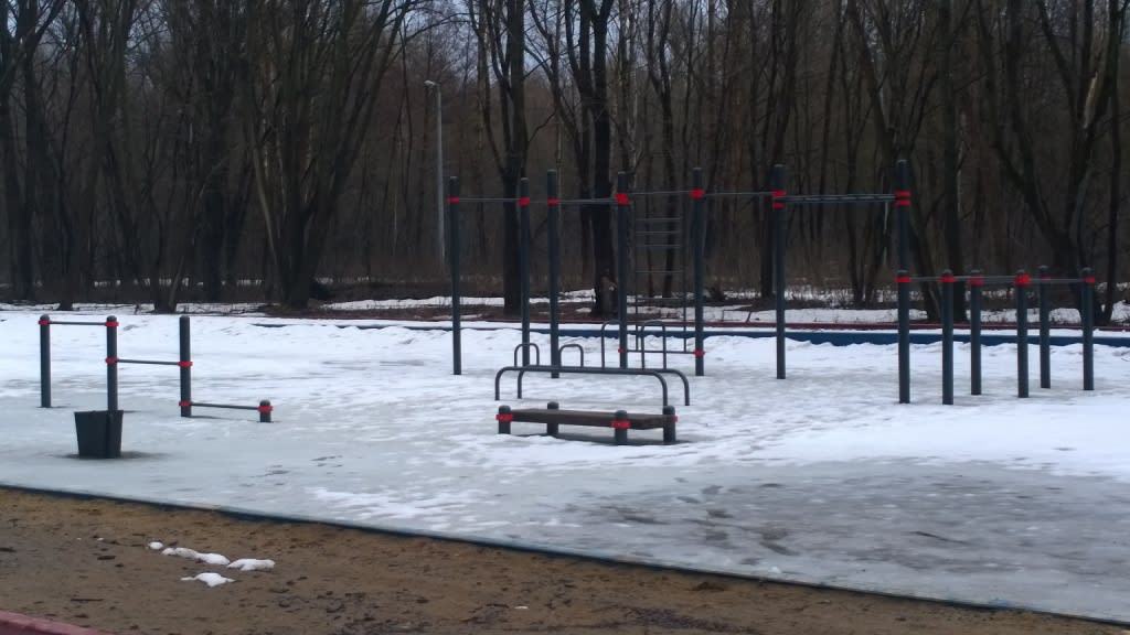 Hangelstange bei Calisthenics Park at Набережная улица, городской округ Тамбов – Foto 2 von 3