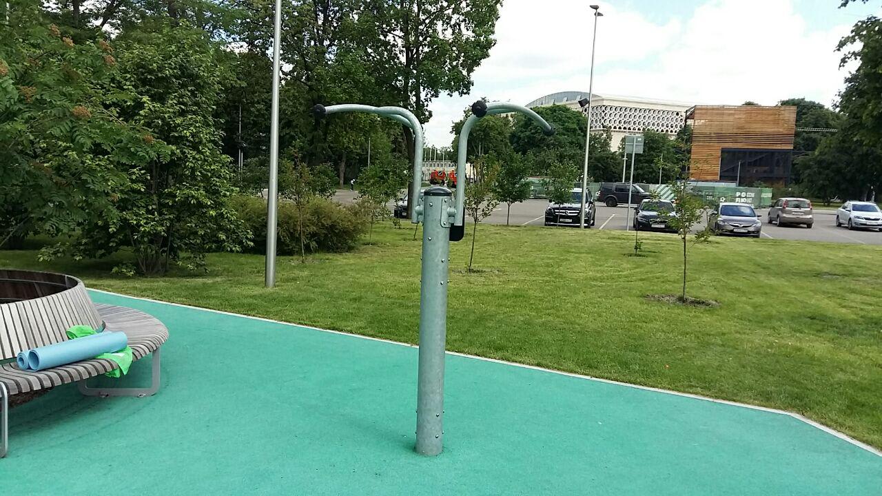 Monkey Bars at Calisthenics Park at Олимпийский комплекс «Лужники», Москва – photo 13 of 20