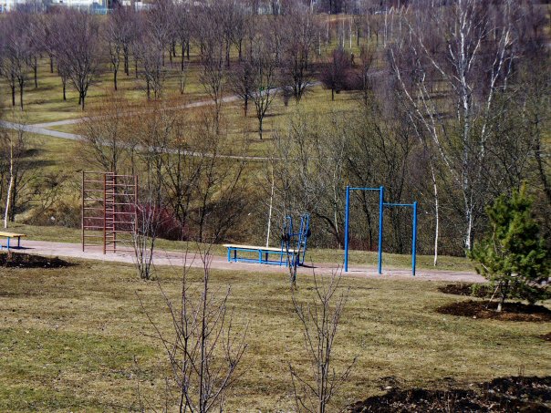 Gymnastic Rings at Calisthenics Park at Народный мост, Москва – photo 5 of 5